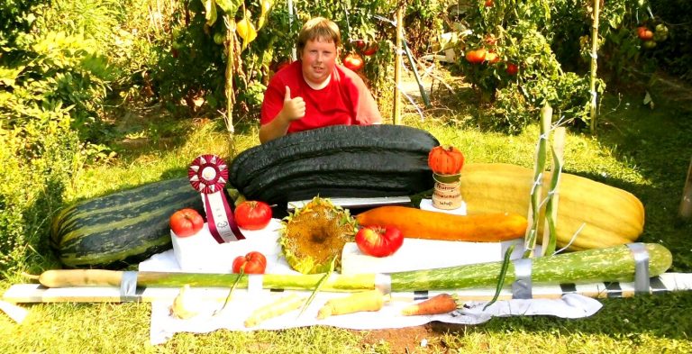 Most Giant Vegetable Varieties Cultivated In One Garden World Records Union 